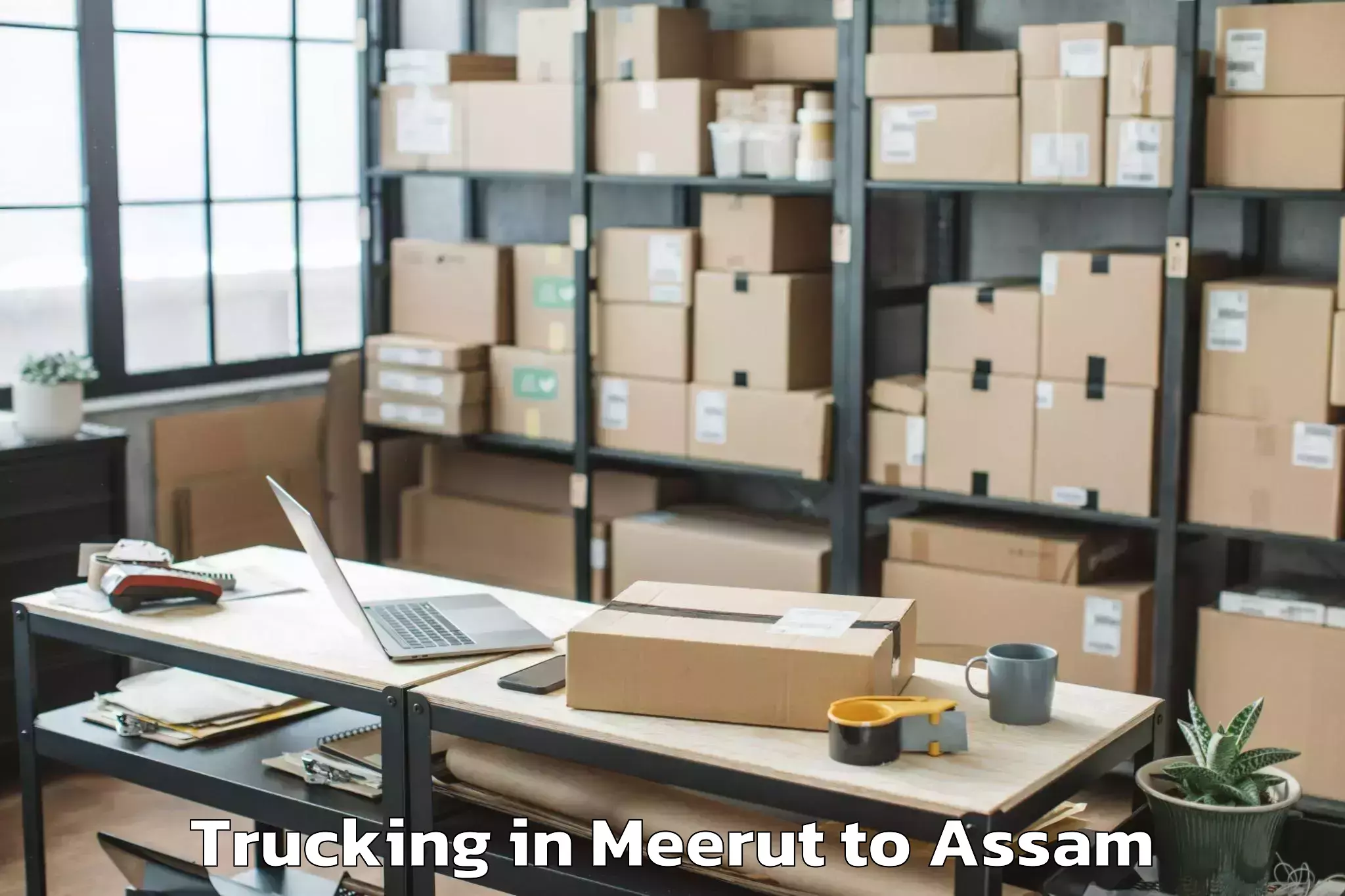 Book Your Meerut to Tezpur Trucking Today